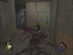 BloodRayne + Terminal Cut (Steam Gift Region Free /ROW) - изображение № 6
