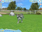 Petz Catz 2 (Steam Gift Region Free / ROW) - изображение № 3