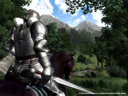 The Elder Scrolls IV: Oblivion GOTY -Steam ROW+ ПОДАРОК
