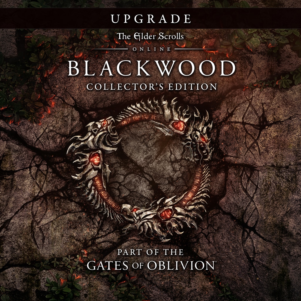z TESO Blackwood Collectors Ed. Upgade (НЕ Steam)Reg Fr