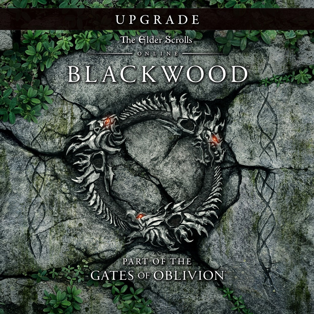z TESO Blackwood Upgade (НЕ Steam) Region Free