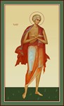 Мария Египетская, прп_001(120х198см)