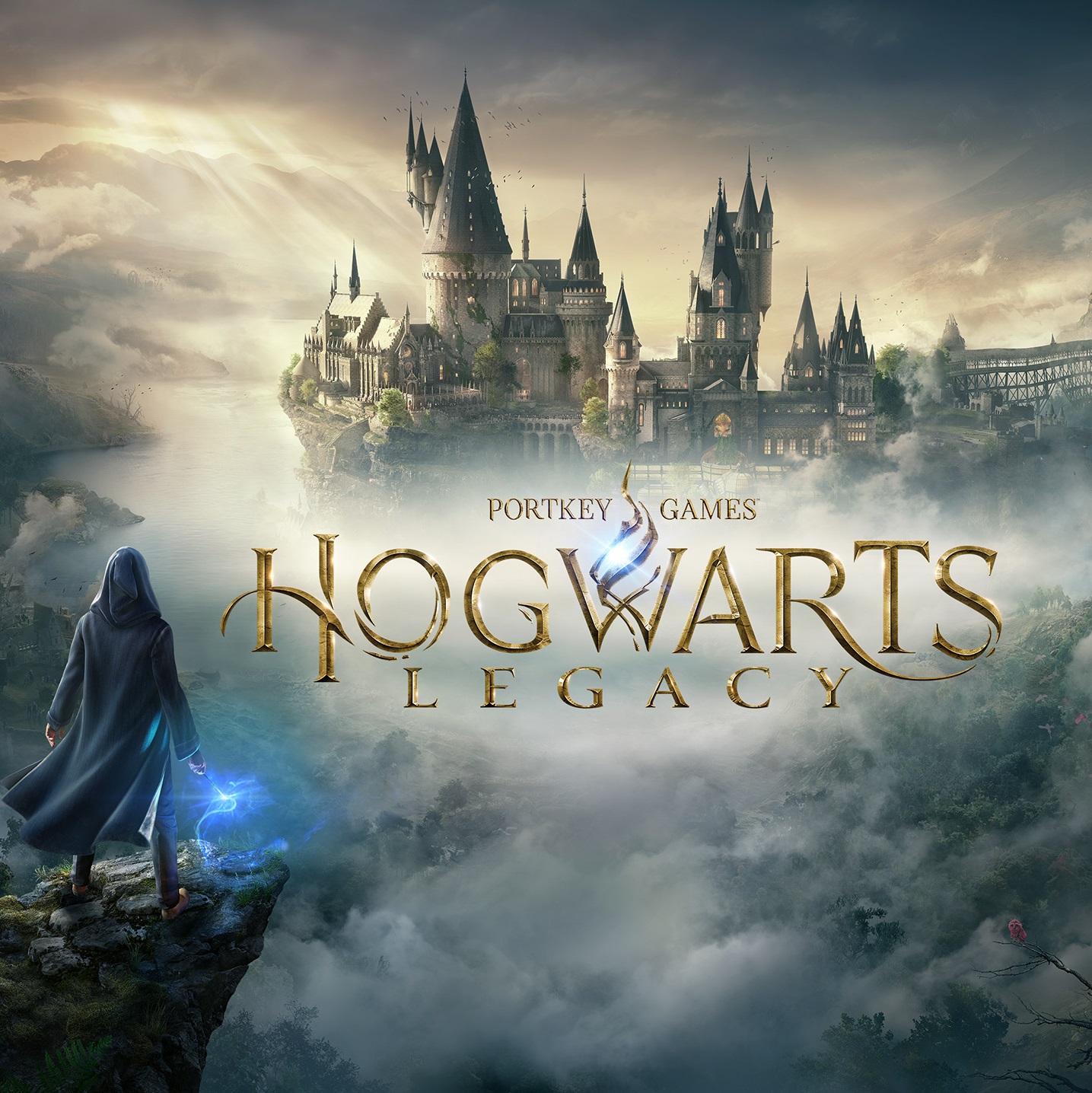 Hogwarts legacy ps5 диск фото 67