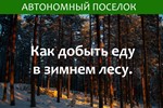 Как добыть еду в зимнем лесу. Статья.