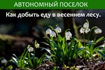 Как добыть еду в весеннем лесу. Статья.