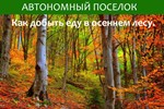 Как добыть еду в осеннем лесу. Статья.