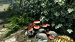 The Elder Scrolls V: Skyrim -⭐Steam\GLOBAL\Key - изображение № 3