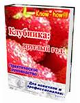 Технология по выращиванию клубники круглый год