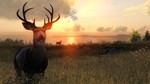 theHunter Classic - Steam Оффлайн  - изображение № 3