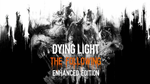 DYING LIGHT  ENH. EDITION  Новый аккаунт + Почта 