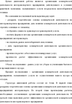 Диплом Организация комерческой деятельности - изображение № 2