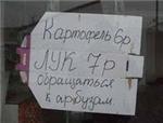 Диплом Разработка формата Дискаунтер