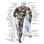 Атлас упражнений для ударной техники - изображение № 4