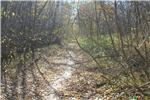 Фотография Тихая теплая осень