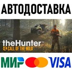 theHunter: Call of the Wild * RU/KZ/СНГ/TR/AR * STEAM