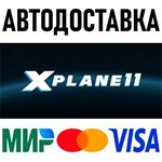 X-Plane 11 * RU/KZ/СНГ/TR/AR * STEAM  АВТОДОСТАВКА