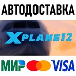 X-Plane 12 * RU/KZ/СНГ/TR/AR * STEAM  АВТОДОСТАВКА