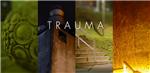 Trauma (Steam Key / Region Free)