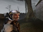 The Elder Scrolls III: Morrowind GOTY (Steam/ ROW) - изображение № 2