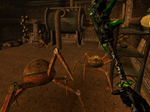 The Elder Scrolls III: Morrowind GOTY (Steam/ ROW) - изображение № 5