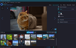 Ashampoo®  Photo Optimizer 7 лицензионный ключ - изображение № 2