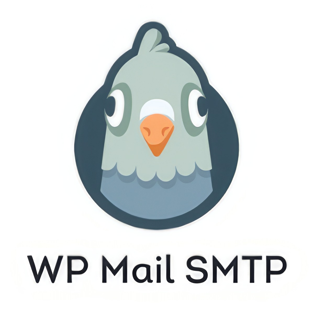 WP Mail SMTP Pro [3.11.0] - Русификация плагина 💜🔥