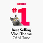 Bimber [9.2.5] - Русификация премиум темы  - изображение № 3