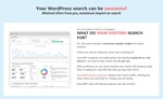 SearchWP [4.3.9] - Русификация плагина  - изображение № 3