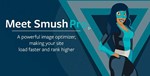 WP Smush Pro [3.15.3] - Русификация плагина  - изображение № 2