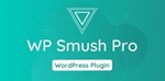 WP Smush Pro [3.15.3] - Русификация плагина  - изображение № 3