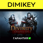 Divinity Original Sin с гарантией | offline