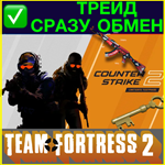 ⭐️Открытая площадка + CS GO 2 РОССИЯ +ПОЧТА SDA ТРЕЙД