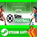 ⭐️ВСЕ СТРАНЫ+РОССИЯ⭐️ Tiny Football Steam Gift
