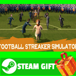 ⭐️ВСЕ СТРАНЫ+РОССИЯ⭐️ Football Streaker Simulator STEAM