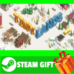 ⭐️ВСЕ СТРАНЫ+РОССИЯ⭐️ Tiny Lands Steam Gift