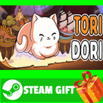 ⭐️ВСЕ СТРАНЫ+РОССИЯ⭐️ ToriDori Steam Gift