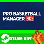⭐️ВСЕ СТРАНЫ+РОССИЯ⭐️ Pro Basketball Manager 2023 STEAM