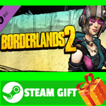 ⭐️ Borderlands 2: Mechromancer Beatmaster Pack STEAM - изображение № 2