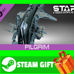 ⭐️ВСЕ СТРАНЫ+РОССИЯ⭐️ Star Conflict - Pilgrim STEAM