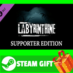 ⭐️ВСЕ СТРАНЫ⭐️ Labyrinthine Supporter Edition STEAM