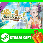 ⭐️ Atelier Sophie 2 Plachta's Swimsuit 