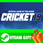 ⭐️ВСЕ СТРАНЫ+РОССИЯ⭐️ Cricket 19 Steam Gift