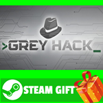 ⭐️ВСЕ СТРАНЫ+РОССИЯ⭐️ Grey Hack Steam Gift - изображение № 2