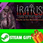 ⭐️ВСЕ СТРАНЫ⭐️ Iratus: Wrath of the Necromancer STEAM