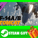 ⭐️ВСЕ СТРАНЫ+РОССИЯ⭐️ DCS: F-14A/B Tomcat Steam Gift