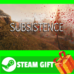 ⭐️ВСЕ СТРАНЫ+РОССИЯ⭐️ Subsistence Steam Gift