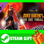 ⭐️ Pinball M - Duke Nukem's Big Shot Pinball STEAM GIFT