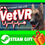 ⭐️ВСЕ СТРАНЫ+РОССИЯ⭐️ VetVR STEAM GIFT