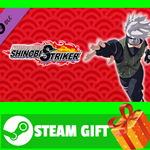 ⭐️ NTBSS: Master Character Training Pack - Kakashi Hata