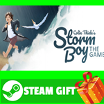 ⭐️ВСЕ СТРАНЫ+РОССИЯ⭐️ Storm Boy STEAM GIFT